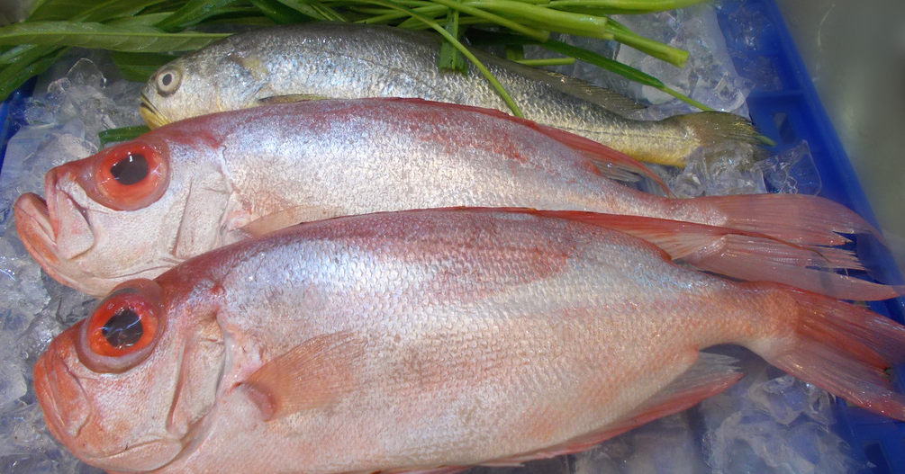 冰鮮魚進(jìn)口需要提供哪些單證資料？