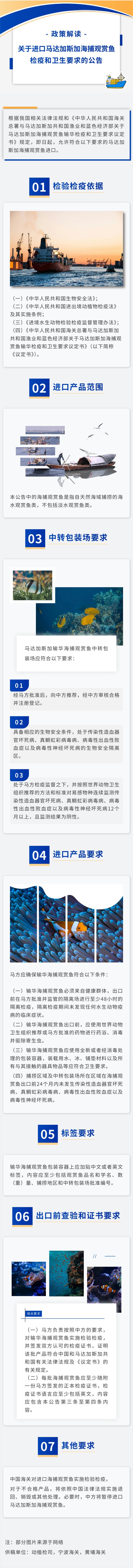 觀賞魚(yú).jpg